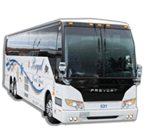 48 Passenger Charter Bus